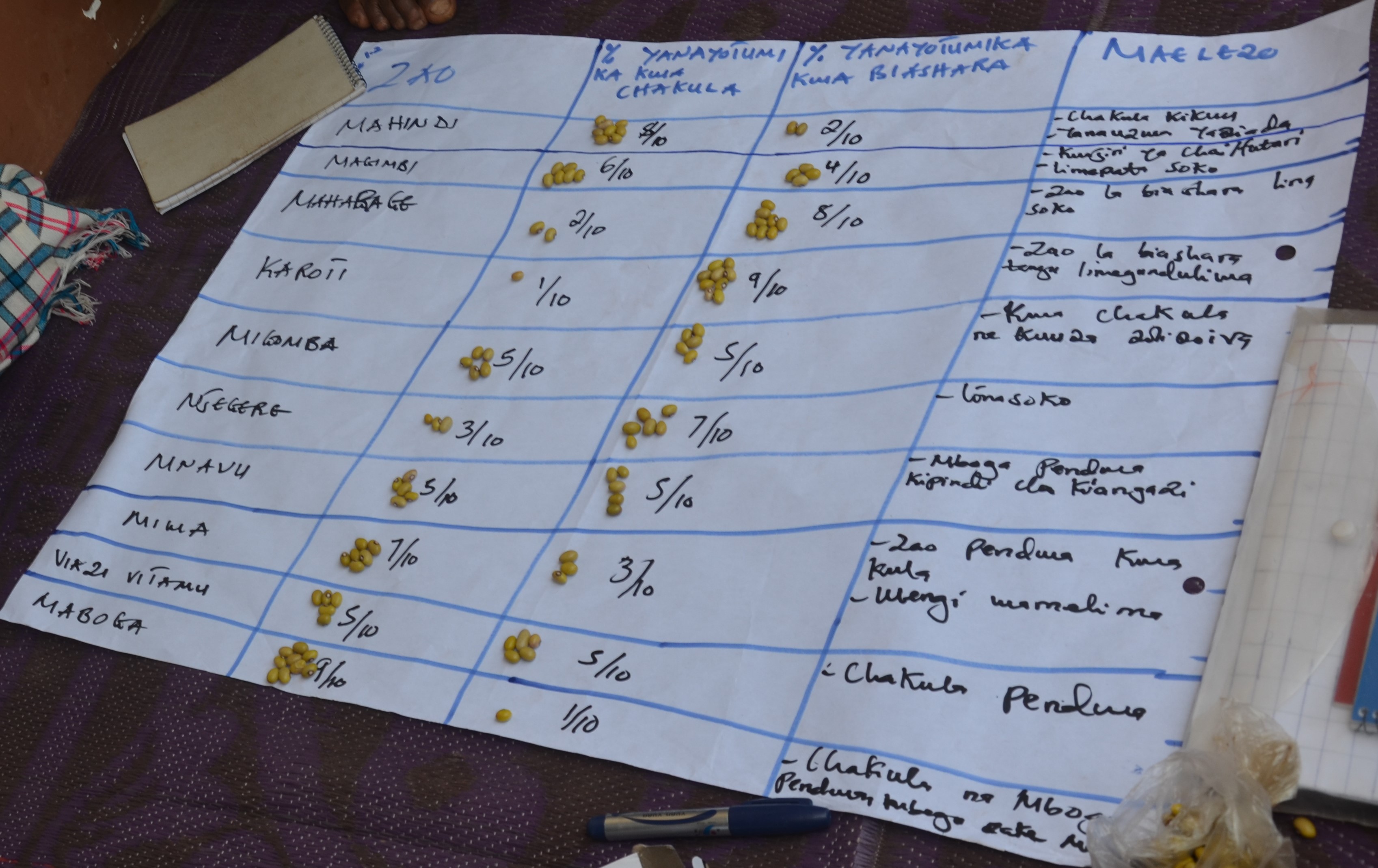 Seed Assesment and Planing